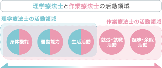 理学療法士と作業療法士の活動領域