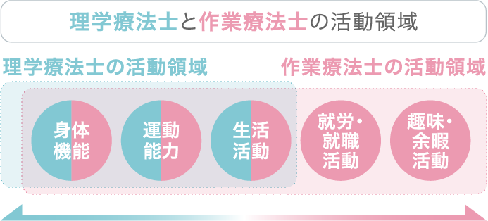 理学療法士と作業療法士の活動領域