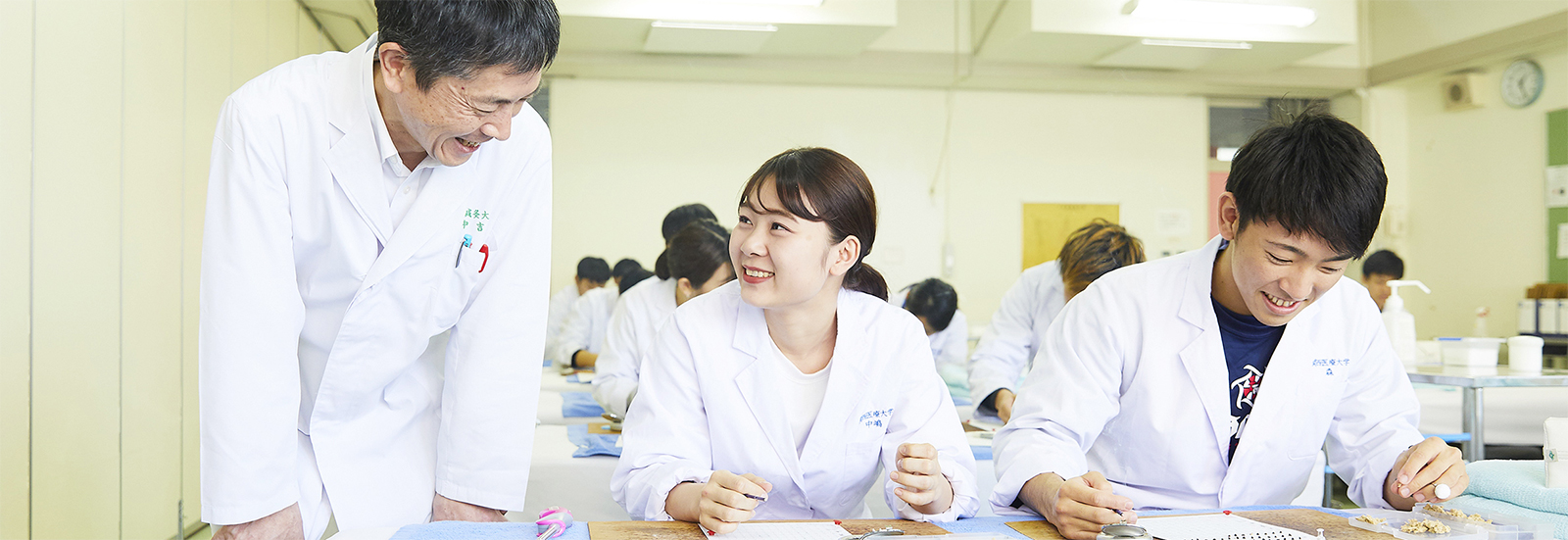 東洋医学×西洋医学