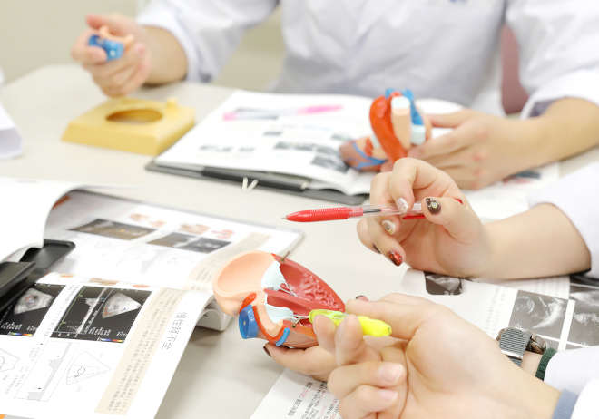 大学入学共通テスト利用選抜では前期(3科目利用型)、中期・後期(2科目利用型)で合否判定!